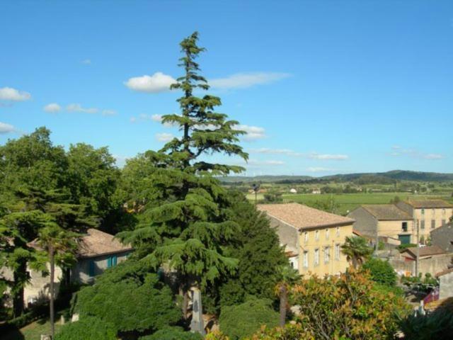 Chambres D'Hotes Le Clos De Venes Saint-Couat-d'Aude Ngoại thất bức ảnh
